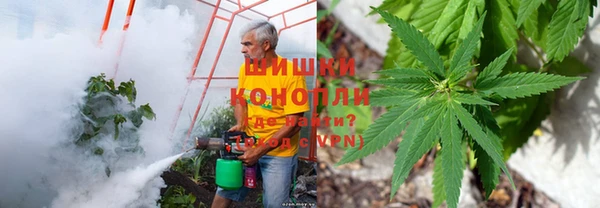 spice Арсеньев