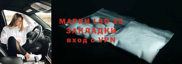 гашик Аркадак