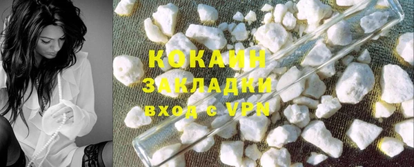сатива Новозыбков