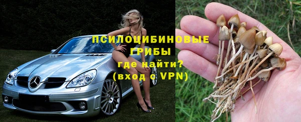 гашик Аркадак